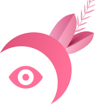 Vision Icon